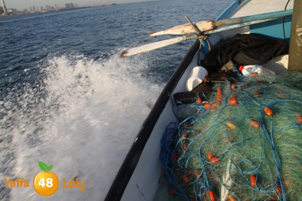 sayyadnewyaffa3 (7).JPG